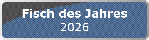 Fisch des Jahres